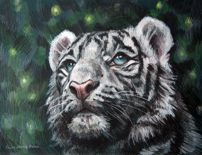 Elena Samorydova Bengal tiger