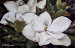 Sviatlana Khalipava: magnolia
