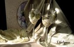 Sviatlana Khalipava: Wedding glasses "Lace"