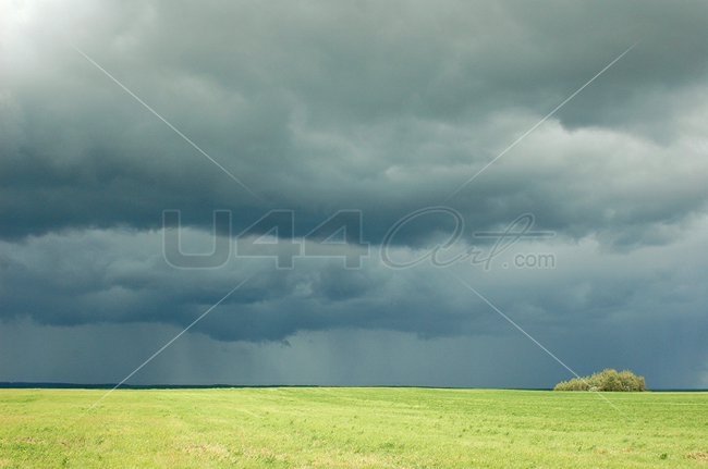 Аркадий Булва Серия: Природа № 4