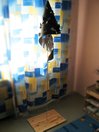 Георгий Макаров-Якубовский: Светильник - Бабочки