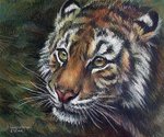 Елена Саморядова : Тигрица