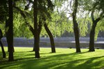 Аркадий Булва: Серия: Природа № 5 Утро в парке отдыха