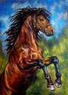 Елена Саморядова : Пожар
