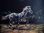 Елена Саморядова : Ночной бег